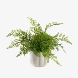 北欧植物花盆盆栽绿色花瓶植物透明盆栽植物素材