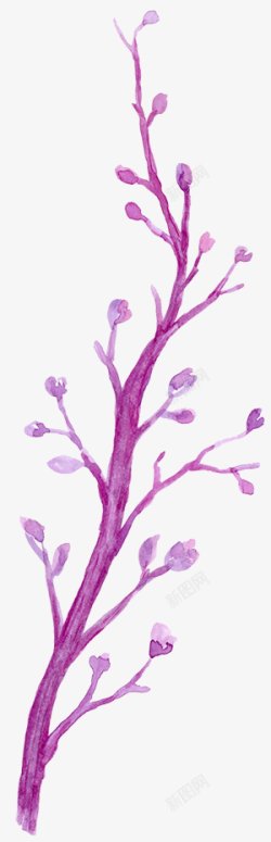春季手绘水彩花卉手绘彩绘水彩插画素材