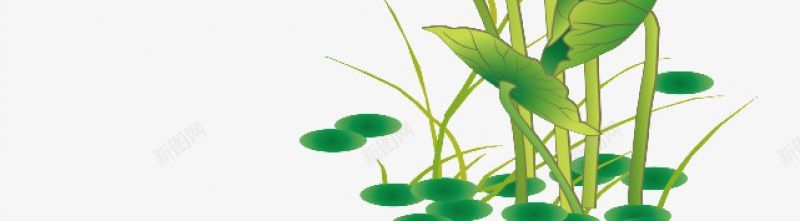 透明荷叶莲花手绘插画花卉png免抠素材_88icon https://88icon.com 免扣 手绘 插画 花卉 荷叶 莲花 透明