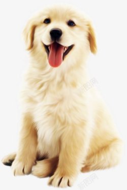 干净的米米白色可爱狗狗卡通动物插画高清图片