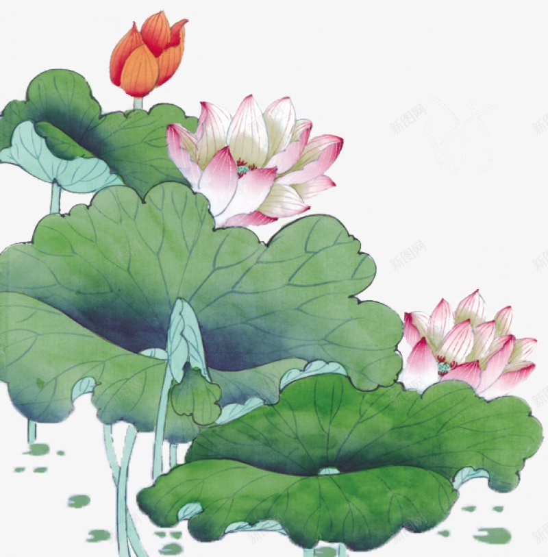 水彩画绿色荷叶粉红荷花荷塘装饰图png免抠素材_88icon https://88icon.com   水彩画  手绘画 粉色花朵 橘色花苞 绿色荷叶 出水 自然美 卡通 荷塘 小清新 铅笔画 水彩绘 插画图 