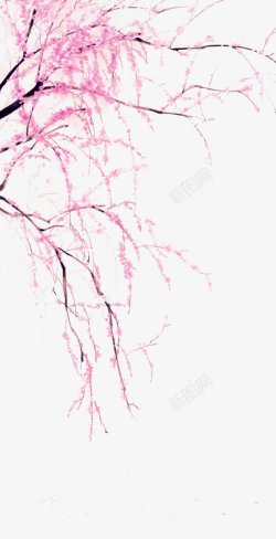 水彩粉色鲜花树枝绘画图素材