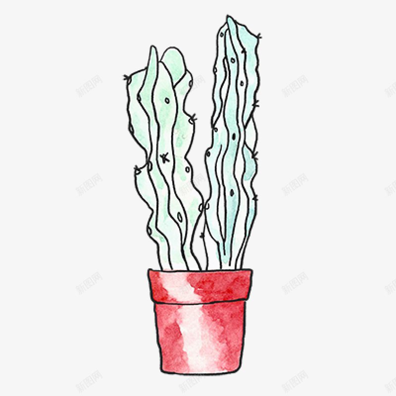 仙人掌手绘水彩盆栽多肉植物专辑Vol006多肉png免抠素材_88icon https://88icon.com 专辑Vol 仙人掌 多肉植物