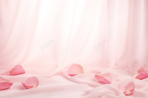 玫瑰花与粉色丝绸背景玫瑰花与粉色丝绸背景图背景