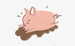手绘可爱小猪插画图手绘彩绘水彩插画素材