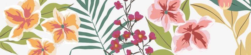 手绘植物插画边框PNS透明底png免抠素材_88icon https://88icon.com PNS透明底 手绘植物 插画 边框