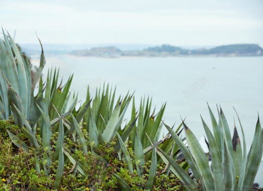 夏背景夏背景背景