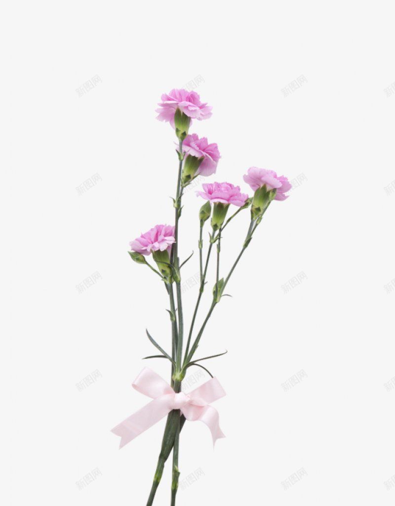 佑佑佑小溪图水墨手绘中国风38节母亲节康乃馨北坤人png免抠素材_88icon https://88icon.com 38节母亲节 中国风 佑佑佑小溪 修饰品 图 康乃馨北坤人 手绘 水墨