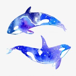 海洋鲸鱼水彩星空梦幻唯美小清新手绘水彩手帐插画蓝鲸素材