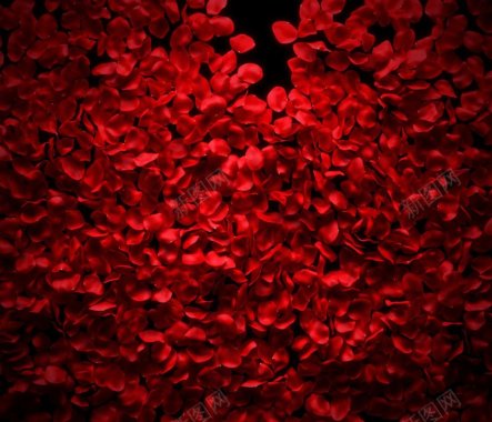 红玫瑰花瓣背景红色是你留下的唇印背景