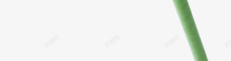 手绘一支水彩花朵装饰图png免抠素材_88icon https://88icon.com  漂亮的 手绘 水彩   花朵    绿茎  单独的 孤立的 装饰插画 图片