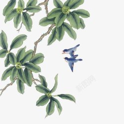 中国画花鸟透明手绘花奔素材