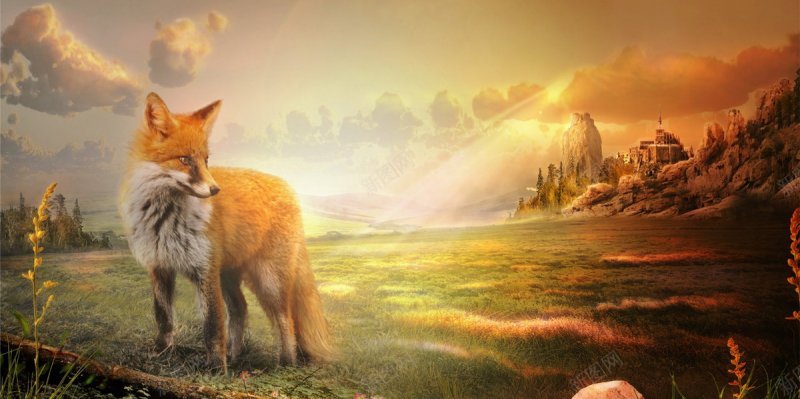 森林动物背景图banner梦幻森系jpg设计背景_88icon https://88icon.com 梦幻森系