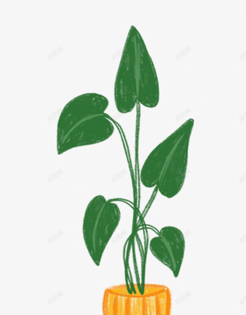 手绘彩铅室内植物可爱插画HOUSEPLANTSPapng免抠素材_88icon https://88icon.com Pack Patterns 免扣手绘彩绘水彩插画