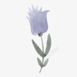 水彩手绘花卉图手绘彩绘水彩插画素材