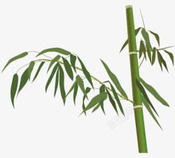 清明节手绘竹子节日清明节素材