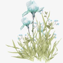 手绘蓝色花卉花朵植物鲜花图素材