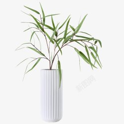 北欧植物盆栽绿色花瓶植物透明竹叶盆栽植物素材