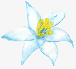 手绘蓝色花卉花朵鲜花素材