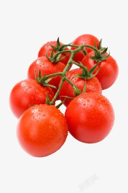 圣女果新鲜樱桃小番茄蔬菜美工合集格式收集持续更新素材