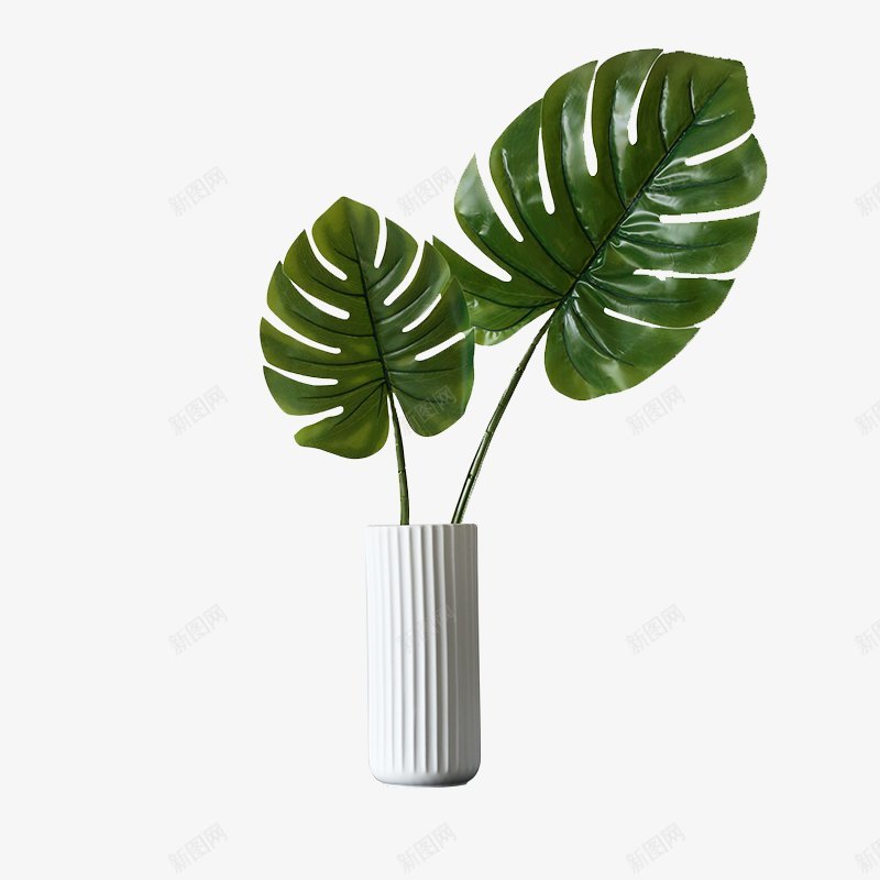 北欧植物盆栽绿色花瓶植物透明盆栽植物png免抠素材_88icon https://88icon.com 北欧植物 植物 盆栽 盆栽绿色花瓶植物透明