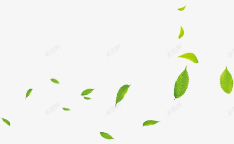 漂浮绿色叶子装饰图png免抠素材_88icon https://88icon.com 漂浮的叶子 充满活力 飘浮 新鲜  嫩绿  春天  春季 树叶 绿色 艺术  叶 吹 风