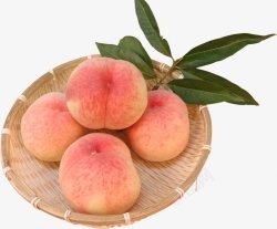 新鲜水果水蜜桃桃子水果素材