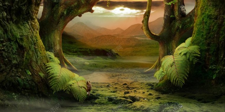 梦幻森林背景图梦幻森系背景