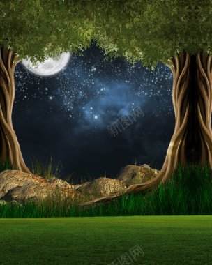 圆月星空树林背景笔记背景