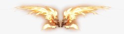 抽象的金色特效翅膀装饰插图素材