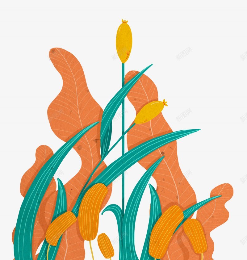 手绘植物插画PNS透明底png免抠素材_88icon https://88icon.com PNS透明底 手绘植物 插画