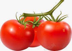 美食水果蔬菜241丨美食蔬果图持续更新素材