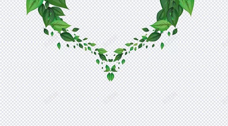 绿色心形字框绿色手绘字框文字框绿色心形边框心形框其jpg设计背景_88icon https://88icon.com 其他 心形框 手绘字框 文字框 绿色 绿色心形字框绿色 绿色心形边框 背景图 踏上云端的小象