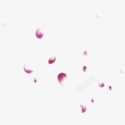 手绘飘落的粉色花瓣素材
