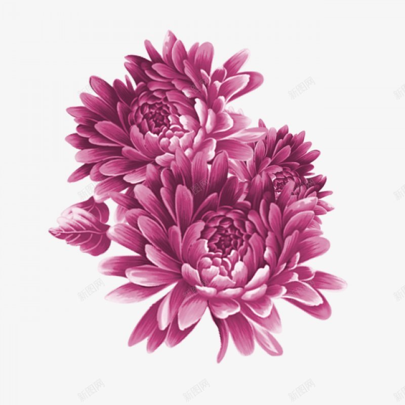 ng牡丹花141手绘工笔水墨png免抠素材_88icon https://88icon.com ng牡丹花141 工笔 手绘 水墨