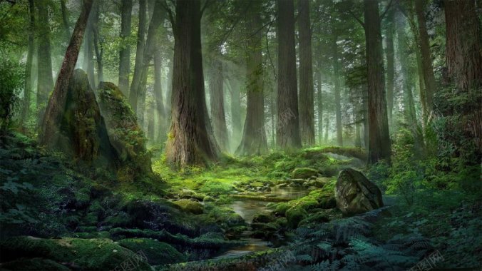 大绿森林梦幻森林树林淘宝海报背景童话森林背景绿森林背景