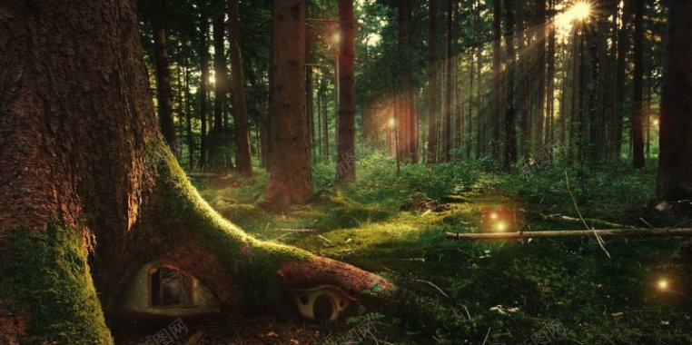 森林梦幻背景图梦幻森系背景