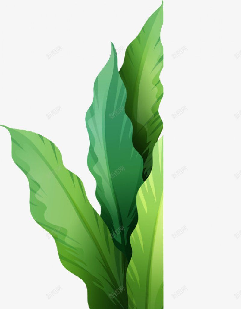 手绘植物插画PNS透明底png免抠素材_88icon https://88icon.com PNS透明底 手绘植物 插画