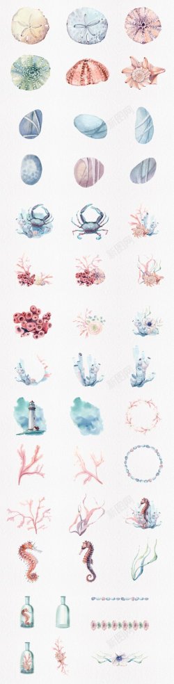 手绘水彩海洋风珊瑚贝壳螃蟹素材