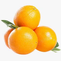 橙子黄金鲜果美味多汁插图素材