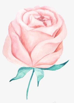 手绘单枝淡红色玫瑰花素材素材
