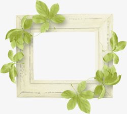 国外创意边框相框植物花朵相框的6创意边框素材