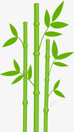 竹子绿色图海报网页创意广告灵感网店装修促销电商淘宝素材