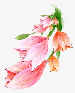 植物植物电商平面网页国外美术基础活动房地产c4db素材