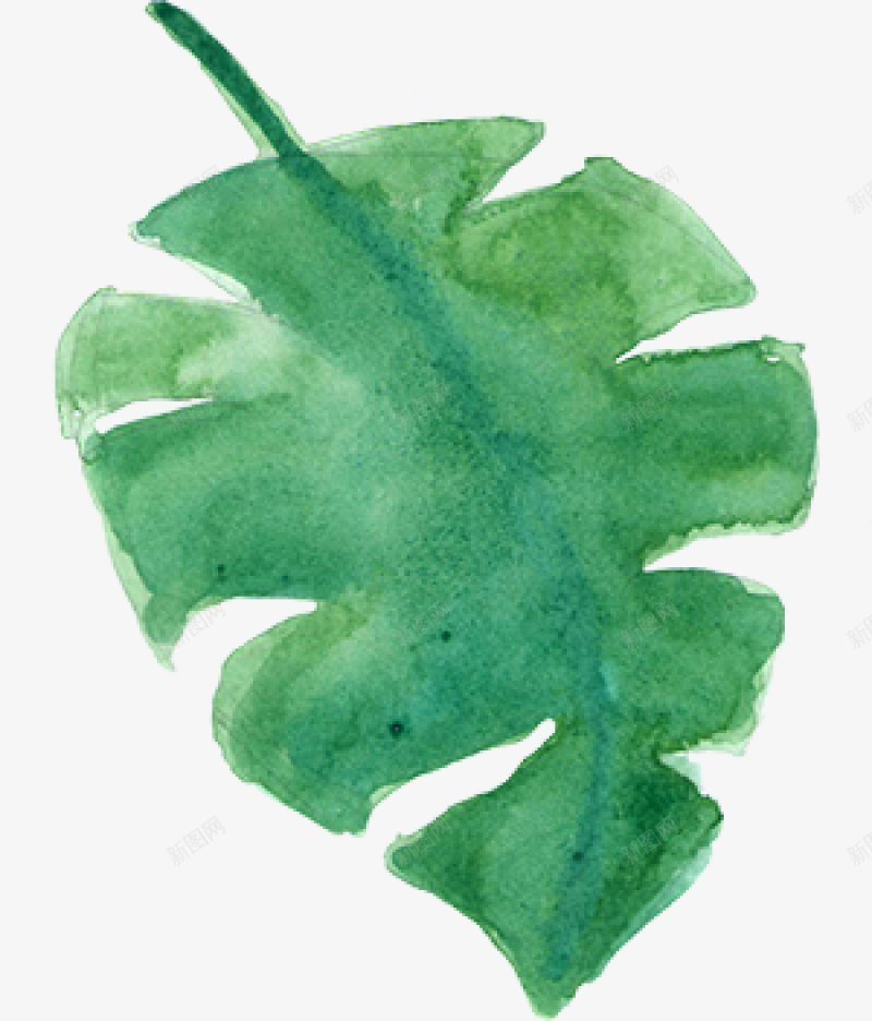 水彩芙蓉花卉艺术手绘彩绘水彩插画png免抠素材_88icon https://88icon.com 免扣手绘彩绘水彩插画 水彩芙蓉花卉艺术免扣