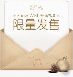 严选SnowWish圣诞礼盒特别价金色简洁优惠券卡素材