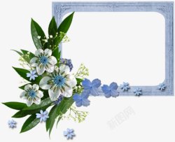 国外创意边框相框鲜花花卉花朵相框的6创意素材
