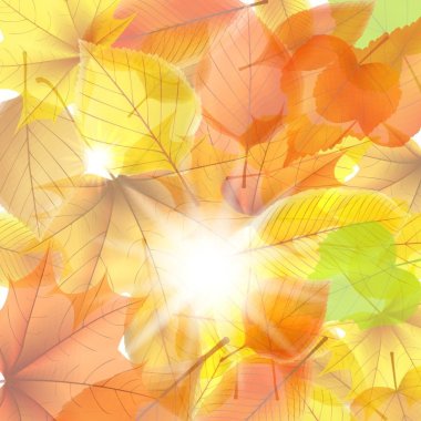 明媚阳光与秋叶矢量纸的材质联盟各种材质质感神马背景