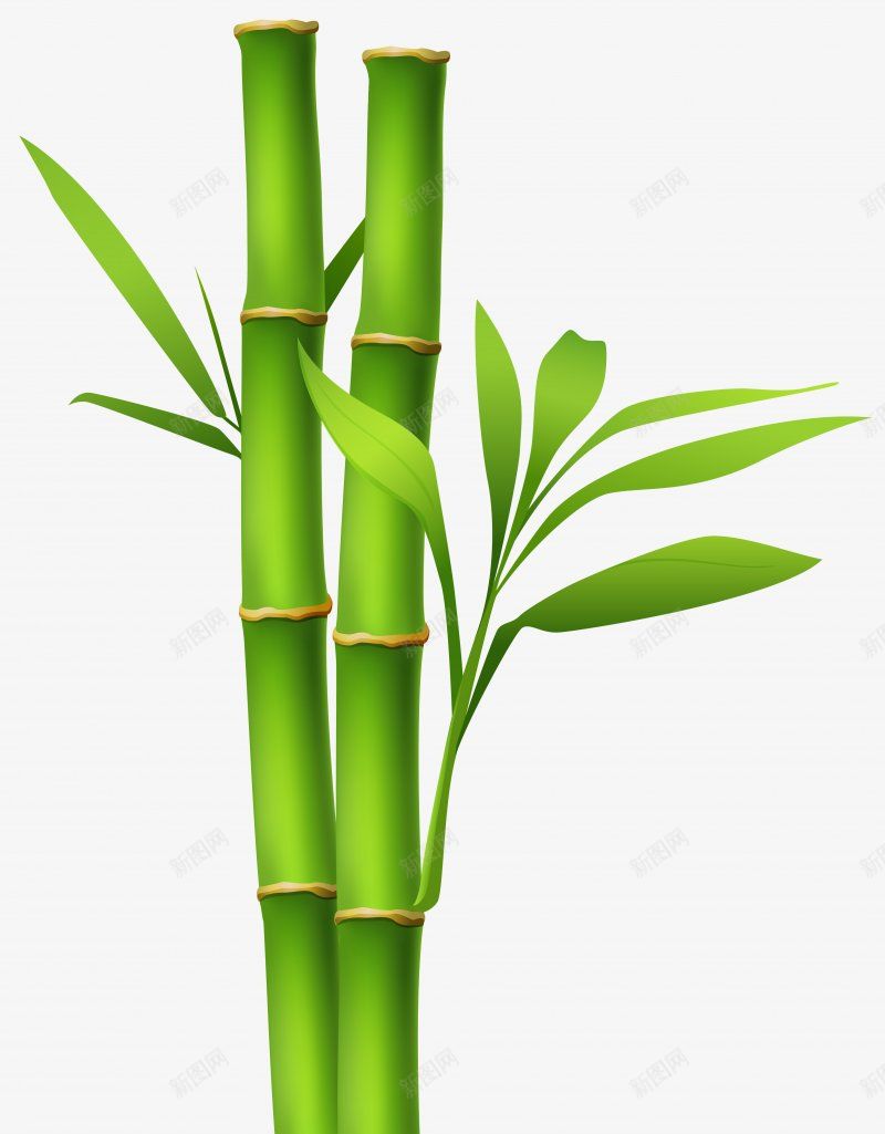 竹子绿色图海报网页创意广告灵感网店装修促销电商淘宝png免抠素材_88icon https://88icon.com 创意 图 广告 海报 灵感 电商 竹子 绿色 网店装修促销 网页