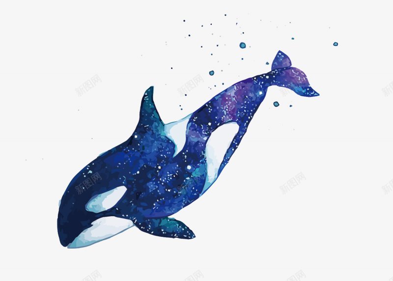 创意治愈系鲸鱼灬小狮子灬大鱼美美美png免抠素材_88icon https://88icon.com 大鱼美美美